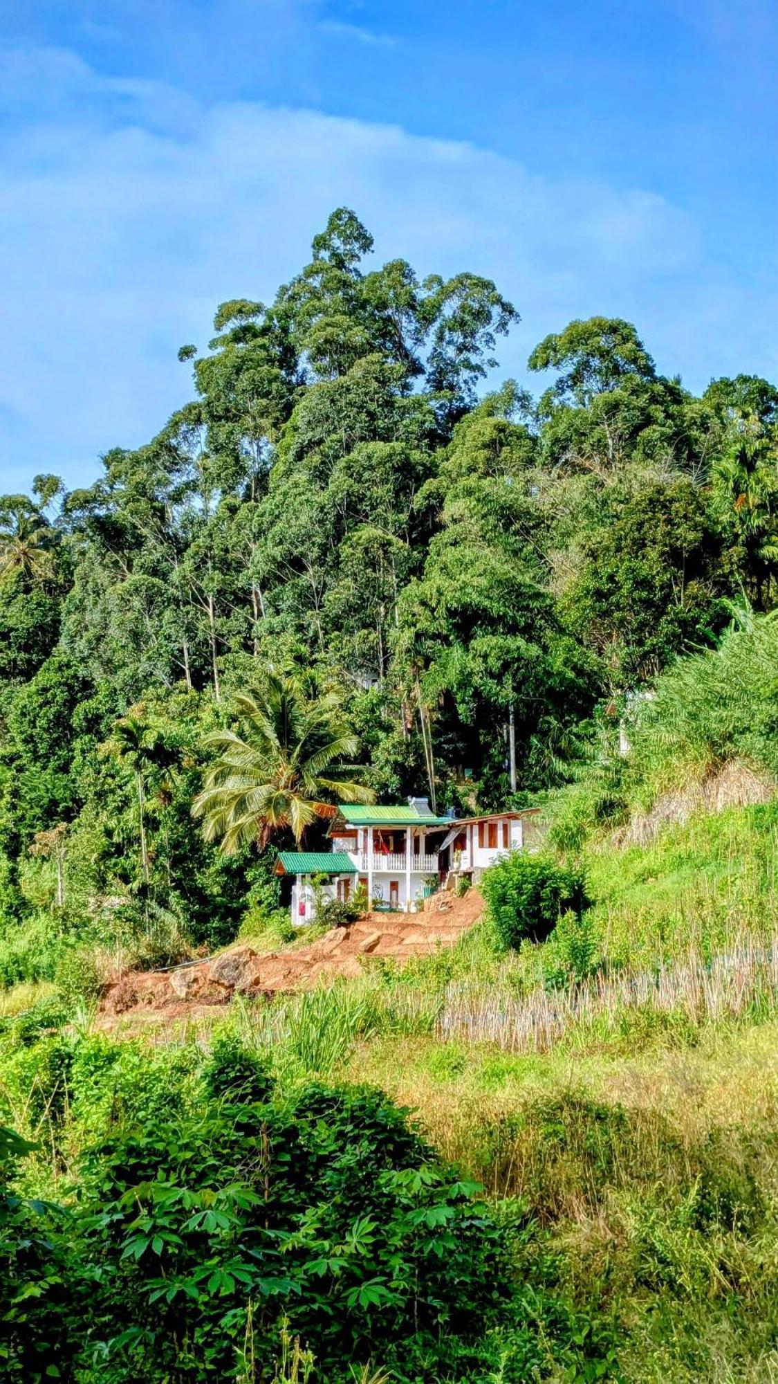 New Farmers Paradise Ella Esterno foto
