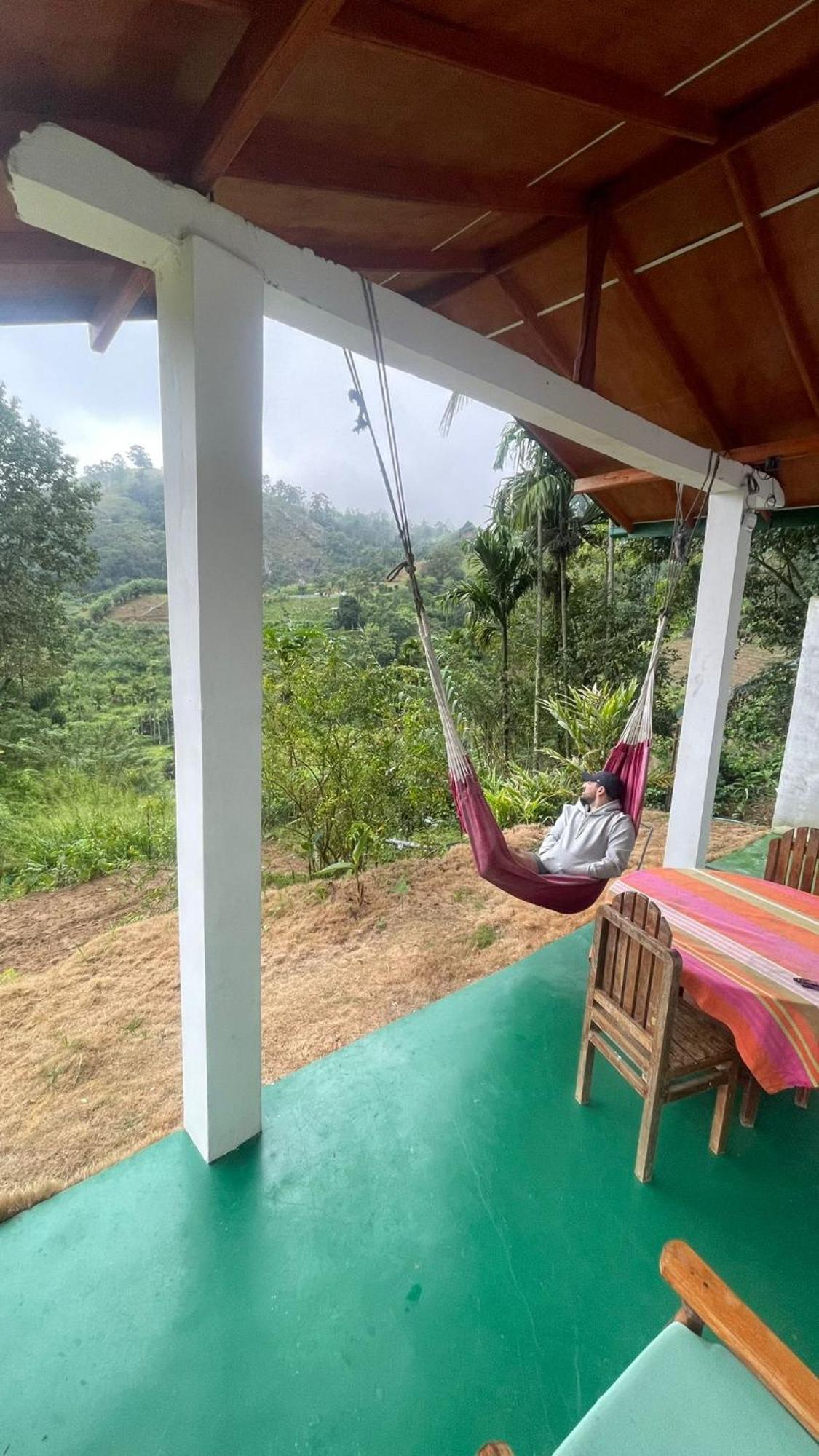 New Farmers Paradise Ella Esterno foto