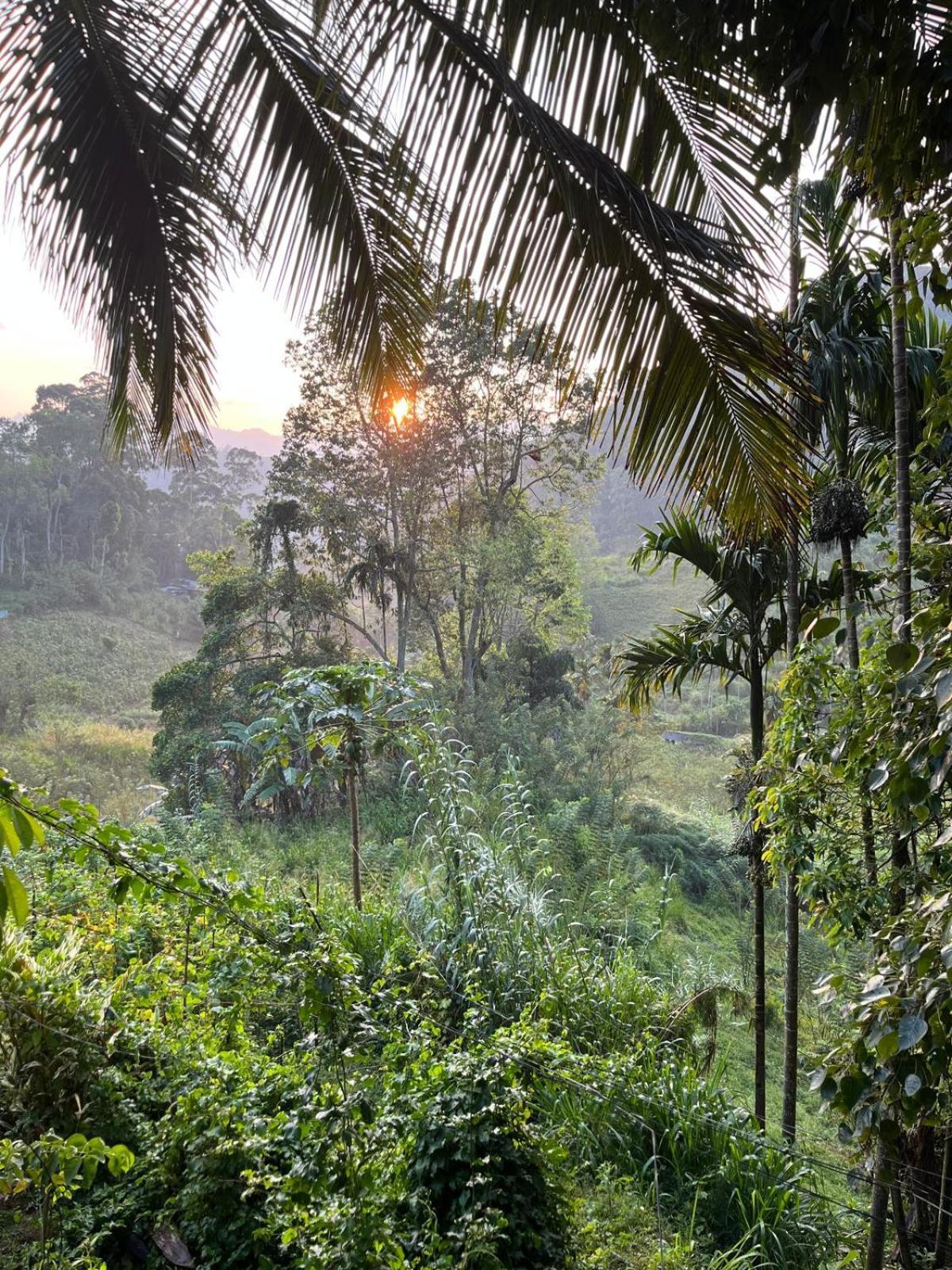 New Farmers Paradise Ella Esterno foto